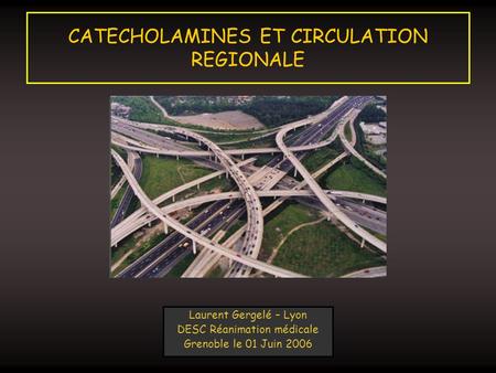 CATECHOLAMINES ET CIRCULATION REGIONALE