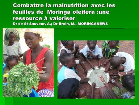 Combattre la malnutrition avec les feuilles de Moringa oleifera :une ressource à valoriser Dr de St Sauveur, A.; Dr Broin, M., MORINGANEWS.