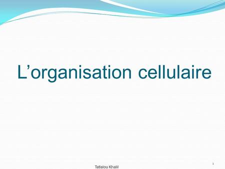 L’organisation cellulaire