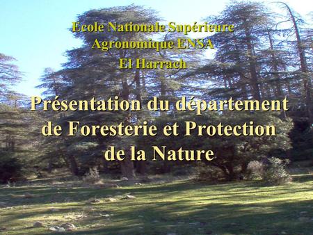 Présentation du département de Foresterie et Protection de la Nature