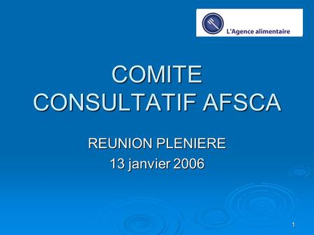 1 COMITE CONSULTATIF AFSCA REUNION PLENIERE 13 janvier 2006.