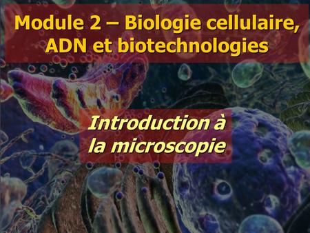 Module 2 – Biologie cellulaire, ADN et biotechnologies