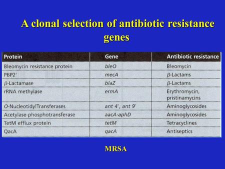 A clonal selection of antibiotic resistance genes