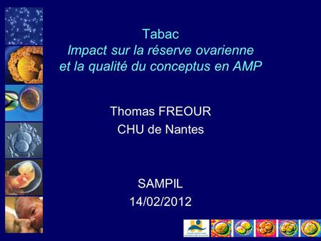 Tabac Impact sur la réserve ovarienne et la qualité du conceptus en AMP Thomas FREOUR CHU de Nantes SAMPIL 14/02/2012.