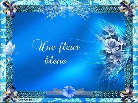 Une fleur bleue Autour d’une pierre lointaine, Venue de nulle part et incertaine, Vivait solitaire une fleur bleue Qui se sentait seule sous le ciel.