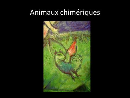 Animaux chimériques.