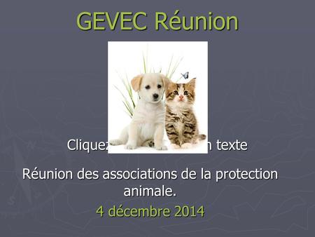 Cliquez pour ajouter un texte GEVEC Réunion Réunion des associations de la protection animale. 4 décembre 2014.
