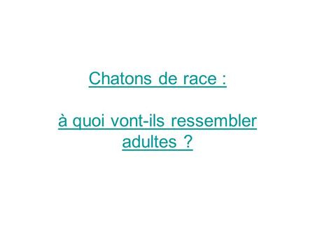 à quoi vont-ils ressembler