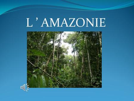 L ’ AMAZONIE.