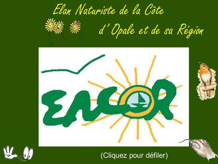 Elan Naturiste de la Côte d’ Opale et de sa Région