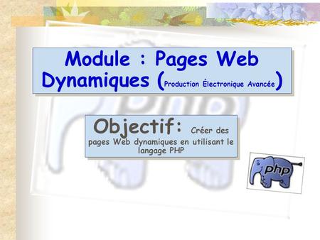 Module : Pages Web Dynamiques (Production Électronique Avancée)