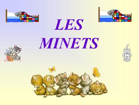 LES MINETS.