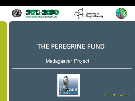THE PEREGRINE FUND Madagascar Project par Marius R.
