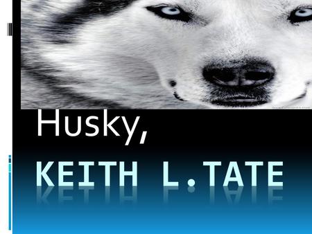 Husky, Keith l.tate.