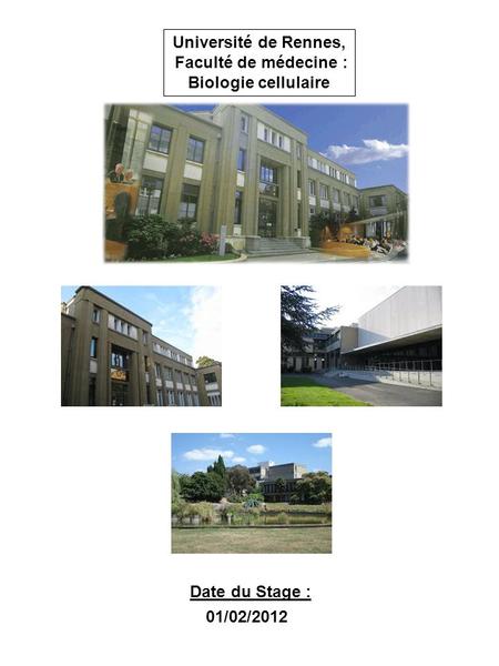 Université de Rennes, Faculté de médecine : Biologie cellulaire Date du Stage : 01/02/2012.