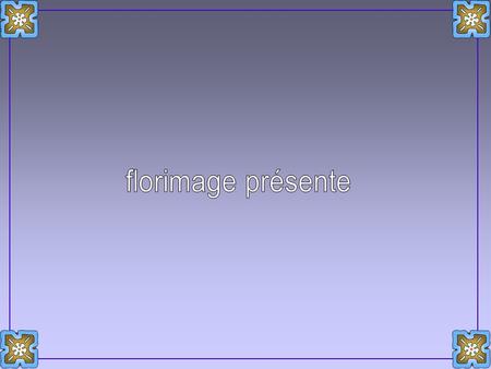 Florimage présente.