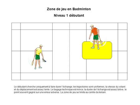 Zone de jeu en Badminton