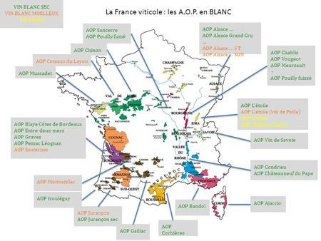 La France viticole : les A.O.P. en BLANC