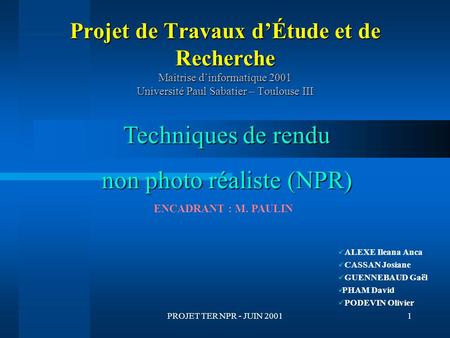 PROJET TER NPR - JUIN 20011 Projet de Travaux d’Étude et de Recherche Maîtrise d’informatique 2001 Université Paul Sabatier – Toulouse III ALEXE Ileana.