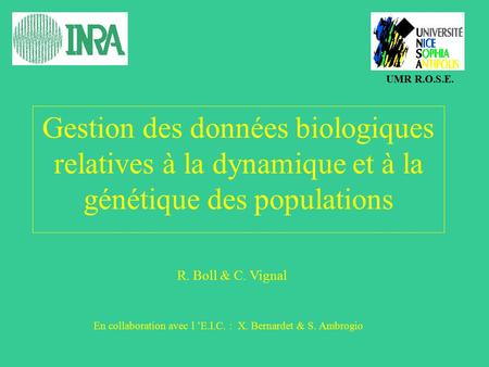 Gestion des données biologiques relatives à la dynamique et à la génétique des populations UMR R.O.S.E. En collaboration avec l ’E.I.C. : X. Bernardet.