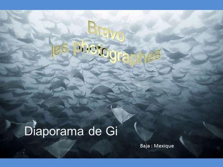 Diaporama de Gi Baja : Mexique Découvrez 12 clichés époustouflants en compétition pour le National Geographic Photo Contest 2014. La beauté de ces clichés.
