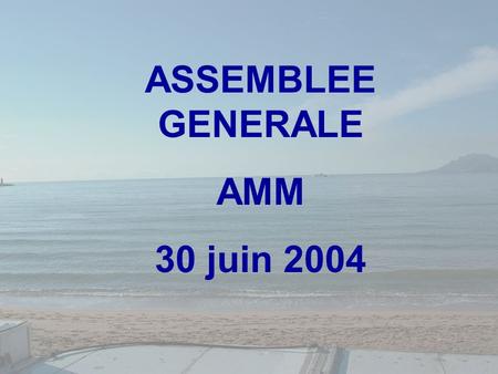 ASSEMBLEE GENERALE AMM 30 juin 2004. SOMMAIRE Avenir de la FMC Bilan des réunions 2003-2004 de l’AMM notion de micro-objectifs dans notre pratique Bilan.