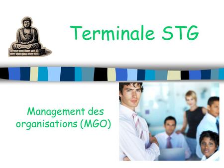 Management des organisations (MGO)