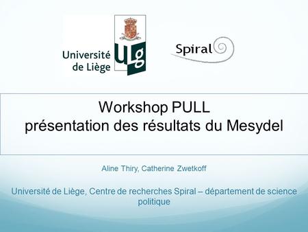 Workshop PULL présentation des résultats du Mesydel