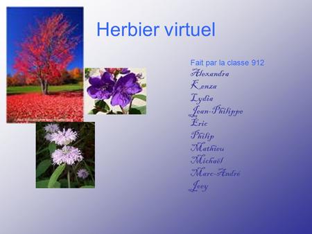 Herbier virtuel Fait par la classe 912 Alexandra Kenza Lydia Jean-Philippe Éric Philip Mathieu Michaël Marc-André Joey.