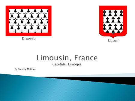 Drapeau Blason Limousin, France Capitale: Limoges By Tommy McGhee.