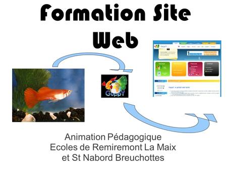 Formation Site Web Animation Pédagogique Ecoles de Remiremont La Maix