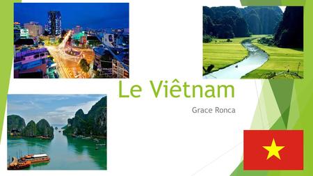 Le Viêtnam Grace Ronca. Les Faits Généraux  Sud-ouest d’Asie  Capitale: Hanoi  La plus grande ville: Ho Chi Minh  Population: 89,710,000 (2013) 