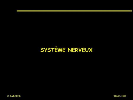 SYSTÈME NERVEUX C. LARCHER								TBioC / 2008.