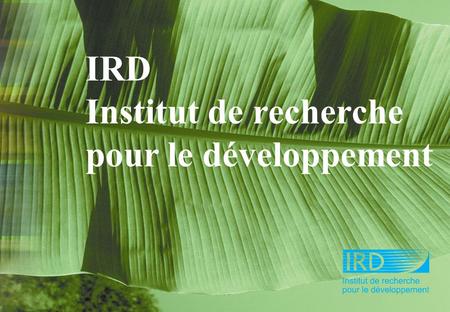 IRD Institut de recherche pour le développement. Présentation Partenaires Activités scientifiques Missions Moyens.