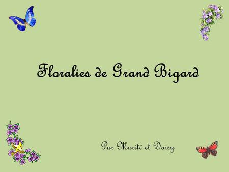 Floralies de Grand Bigard Par Marité et Daisy Du 6 avril au 6 mai 2012, les neuvièmes Floralies se déroulent dans le cadre enchanteur du château de.