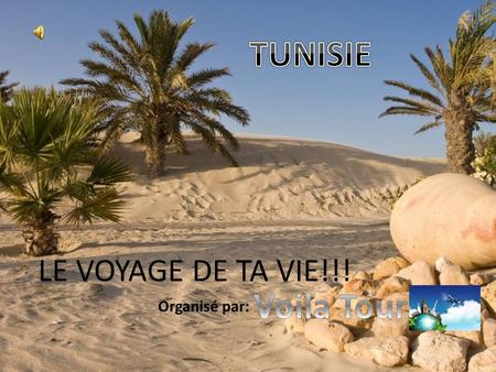 Organisé par: LE VOYAGE DE TA VIE!!!. La Tunisie, en forme longue la République tunisienne, est un pays d’Afrique du Nord.paysAfrique du Nord Elle est.