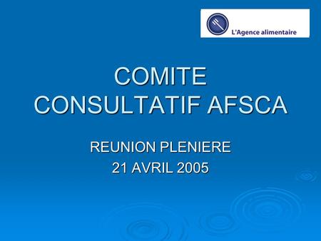 COMITE CONSULTATIF AFSCA REUNION PLENIERE 21 AVRIL 2005.