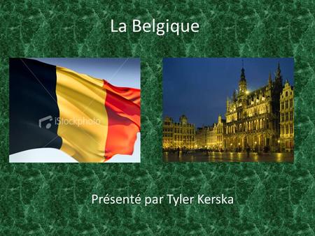 La Belgique Présenté par Tyler Kerska. Histoire Formé en 1830 Était une partie des Pays-Bas (Netherlands) Les gens parlent le néerlandais (Dutch) et le.