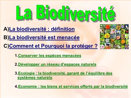 La Biodiversité La biodiversité : définition