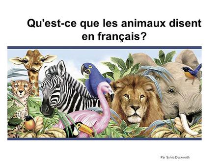 Qu'est-ce que les animaux disent en français? Par Sylvia Duckworth