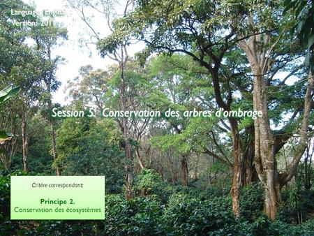 ©2009 Rainforest Alliance Session 5: Conservation des arbres d’ombrage Language: English Version: 2011 Critère correspondant: Principe 2. Conservation.