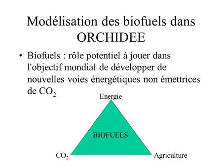 Modélisation des biofuels dans ORCHIDEE Biofuels : rôle potentiel à jouer dans l'objectif mondial de développer de nouvelles voies énergétiques non émettrices.