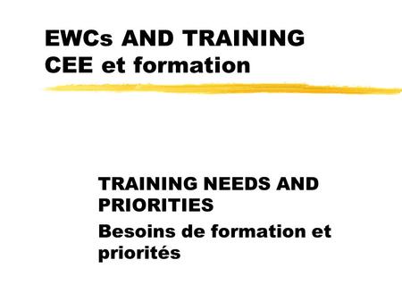 EWCs AND TRAINING CEE et formation TRAINING NEEDS AND PRIORITIES Besoins de formation et priorités.