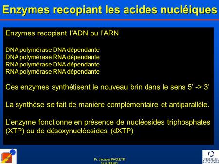 Enzymes recopiant les acides nucléiques