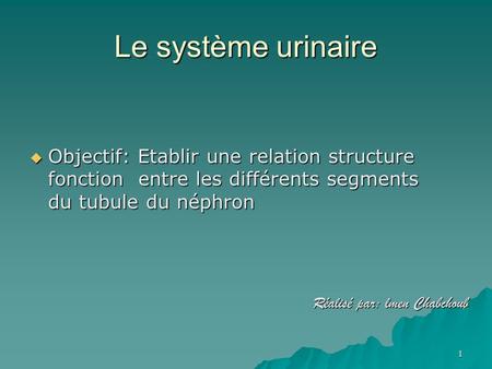 Le système urinaire Objectif: Etablir une relation structure fonction entre les différents segments du tubule du néphron Réalisé par: lmen Chabchoub.
