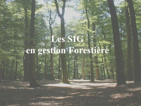 Les SIG en gestion Forestière