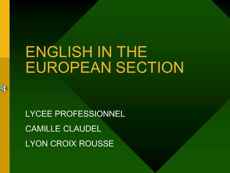 ENGLISH IN THE EUROPEAN SECTION