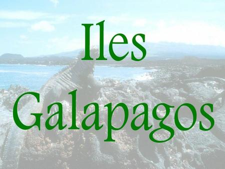 Situé à un millier de kilomètres de la côte équatorienne, l'archipel des Galapagos se compose de 13 îles, 17 îlots et 47 roches dont la superficie totale.