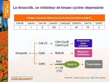 Le dinaciclib, un inhibiteur de kinase cycline dépendante