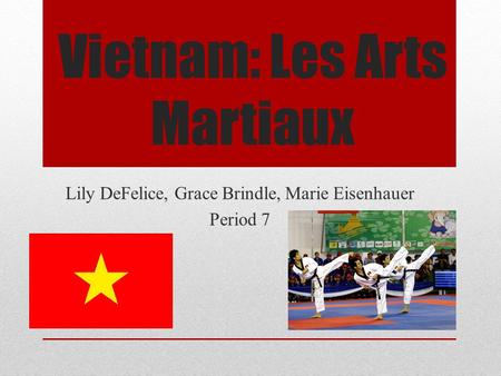 Vietnam: Les Arts Martiaux Lily DeFelice, Grace Brindle, Marie Eisenhauer Period 7.